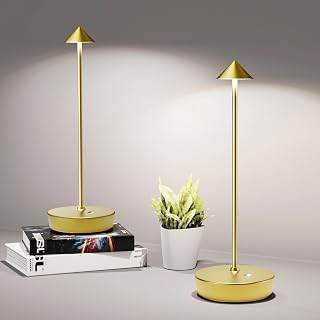 Cordless Rechargeable LED Desk Lamp Set of 2 - Waterproof and Dimmable — Led Desk Lamp