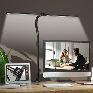 Double Head Desk Lamp, 24W LED Table Lamp with Adjustable Brightness and Color Modes — Led Desk Lamp