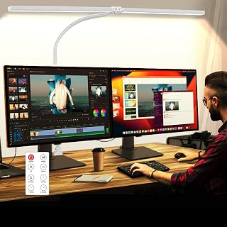 Double Head LED Desk Lamp with Remote Control for Home Office — Led Desk Lamp