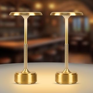 HAPYGI Rechargeable Cordless LED Desk Lamp with Touch Sensor — Led Desk Lamp