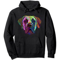 Hoodie Unisexe Pullover Great Dane Coloré — Sweats à capuche pour hommes