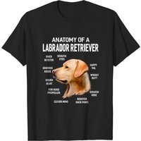 T-Shirt Anatomie d'un Labrador Retriever pour Hommes — T-shirts pour hommes