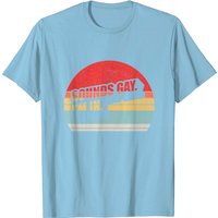 Vintage Gay Pride LGBT T-Shirt for Men — Mens T Shirts