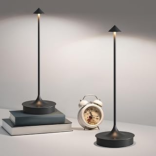 Cordless Rechargeable LED Touch Dimmable Desk Lamp Set of 2 Black