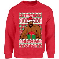 Barry Wood Christmas Sweater - Unisex Ugly Christmas Sweatshirt
