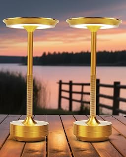 Ensemble de 2 lampes de bureau LED sans fil avec batterie rechargeable — Lampe de bureau menée