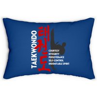 Coussin lombaire graphique des principes du Taekwondo — Coussins décoratifs