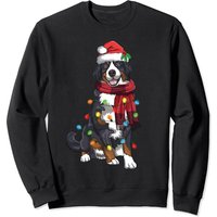 Sweatshirt Bernese Mountain Christmas Light pour amoureux des chiens