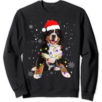 Sweatshirt de Noël assorti pour famille avec chien de montagne bernois — Sweats à capuche pour hommes