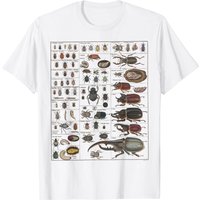 T-shirt Vintage Chart Entomologie Collection d'Insectes pour Hommes — T-shirts pour hommes