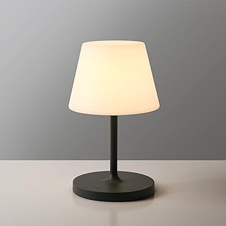 WEILAILUX Outdoor Battery Operated LED Desk Lamp 4000mAh — Led Desk Lamp