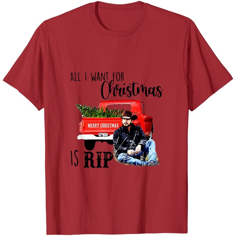 T-shirts All I Want For Christmas Is Rip pour hommes — T-shirts pour hommes
