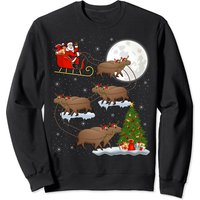 Sweatshirt Unisex de Noël avec Santa sur un Capybara
