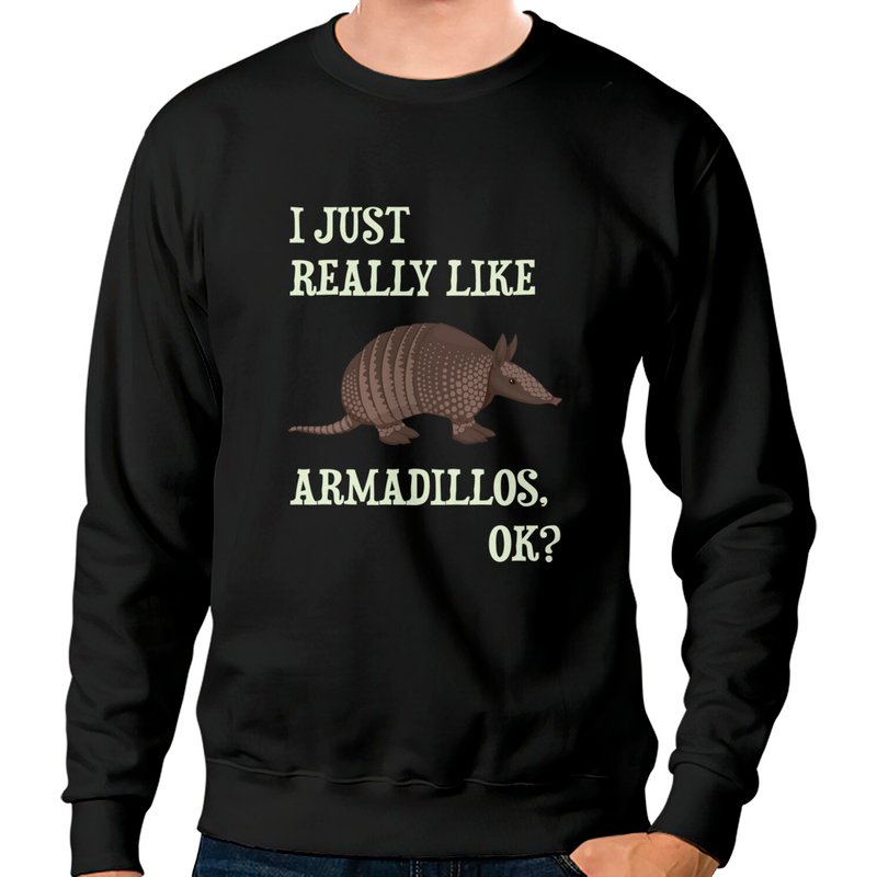 Cute Armadillo Sweatshirt for Armadillo Lovers — Mens Hoodies