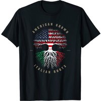 Italian American Flag T-Shirt for Men - Black — Mens T Shirts