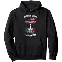 Hoodie Drapeau Américain-Italien avec Design Arbre aux Racines Néerlandaises — Sweats à capuche pour hommes