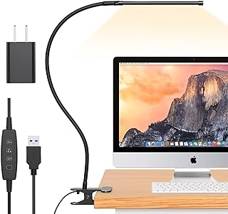 Lampe de bureau iZell avec pince et col de cygne flexible pour bureau à domicile — Lampe de bureau menée