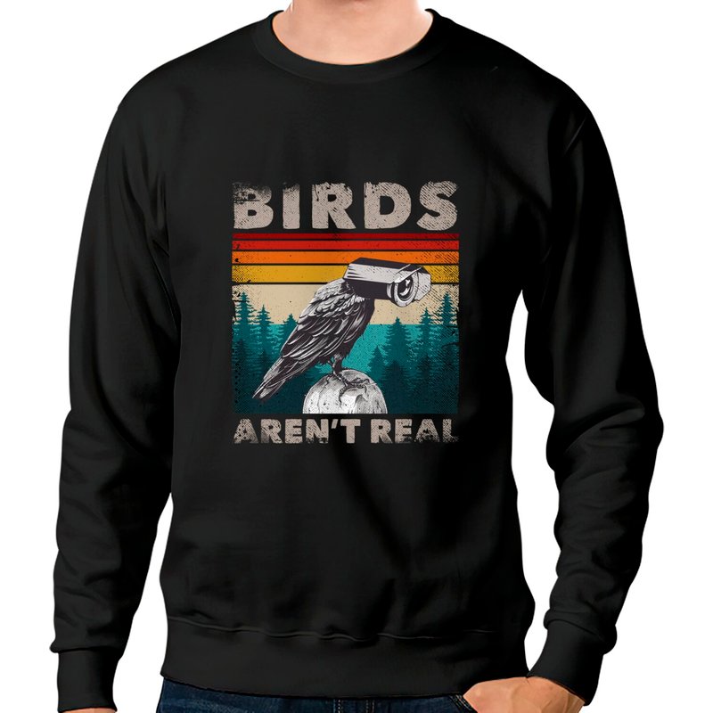 Sweat-shirt Bird Aren't Real Meme Surveillance Truther Bird CCTV — Sweats à capuche pour hommes