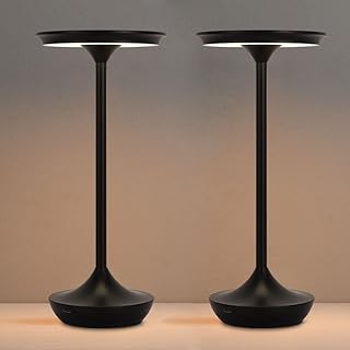 2 Pack Cordless Rechargeable LED Desk Lamps with Dimming Function — Led Desk Lamp