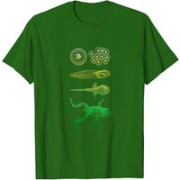 Frog Tadpole Metamorphosis Life Cycle Biology T-Shirt for Men — Mens T Shirts