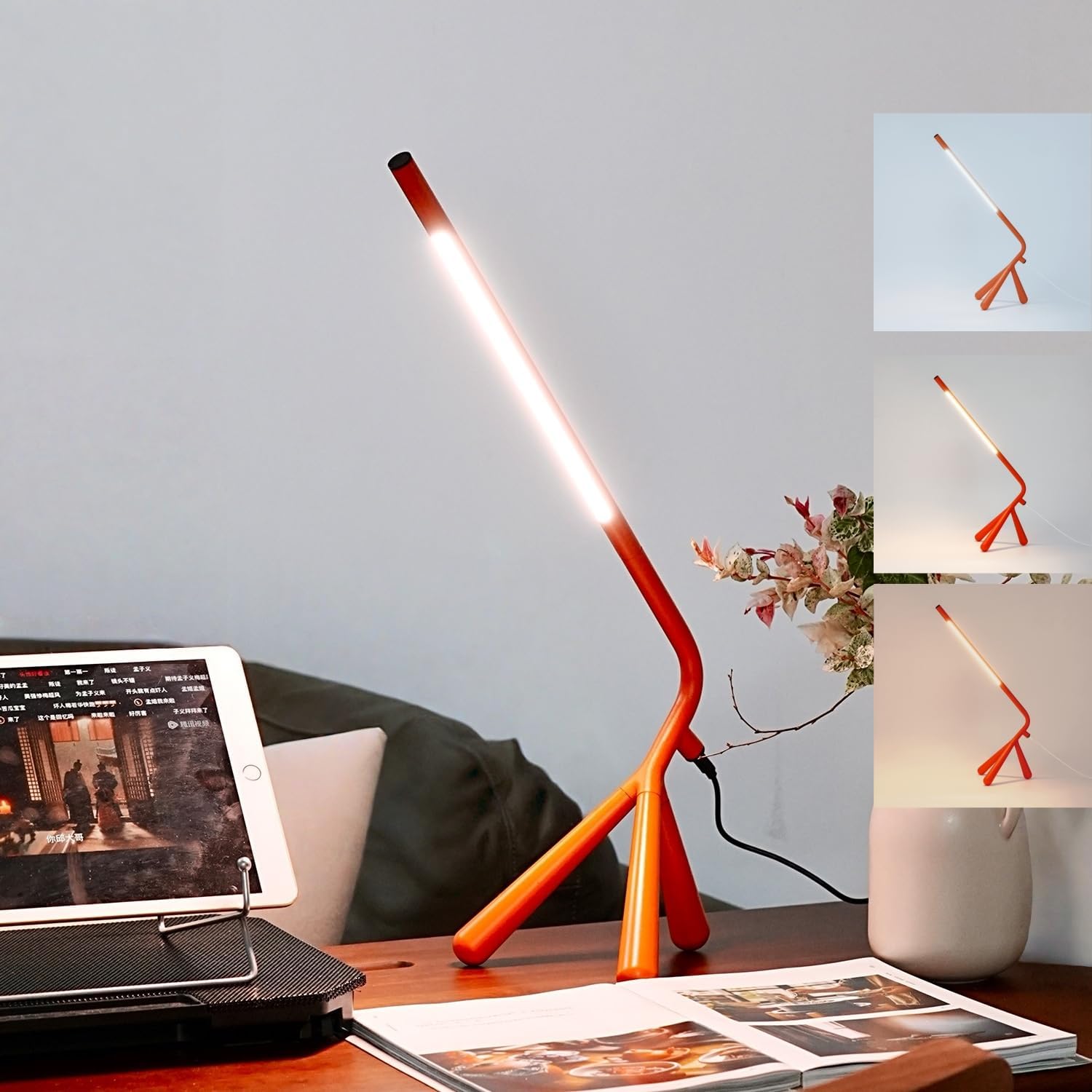 Lampe de Bureau LED Créative avec Dimmage Continu USB Type-C — Lampe de bureau menée