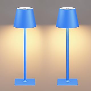 2 Pack Rechargeable LED Desk Lamp with 6000mAh Battery — Led Desk Lamp