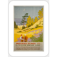 Vintage Travel Indiana Dunes State Park Sticker