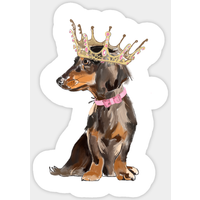 Autocollant Chien Teckel Reine — Autocollants et stickers