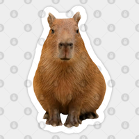Capybara Sticker - Kiss-Cut Design for Custom Shapes — Stickers & Decals