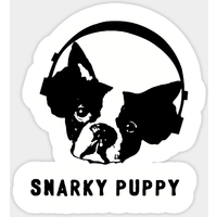 Autocollant Logo Snarky Puppy