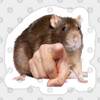 Accusing Rat! - Rat Sticker