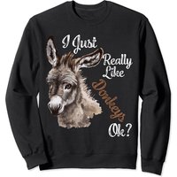 J'aime vraiment les ânes Sweatshirt pour amateurs d'ânes miniatures