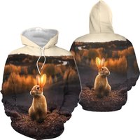 Hoodie 3D Pullover Animal Lapin au Coucher de Soleil pour Enfants — Sweats à capuche pour hommes