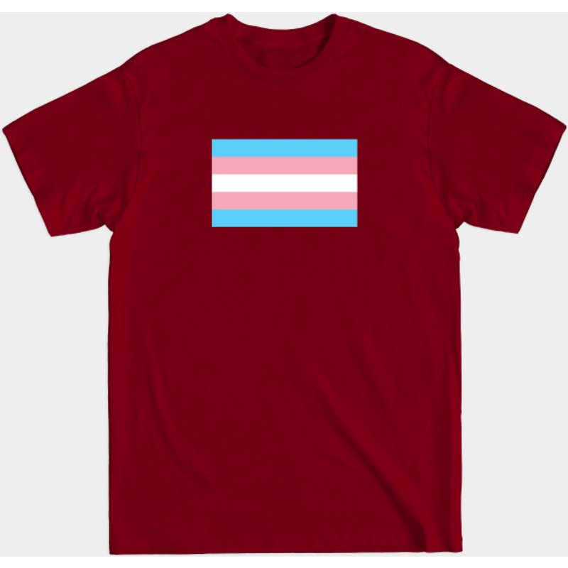 Trans Flag Men's T-Shirt in Black