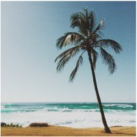T-shirt pour hommes Palmier à la plage — T-shirts pour hommes