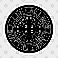Biology Sticker - Kiss-Cut Vinyl Decal — Stickers & Decals
