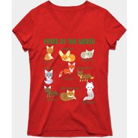 Foxes Of The World - Fox Men's T-Shirt