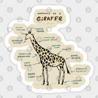 Autopsie d'une Girafe Autocollant Vintage