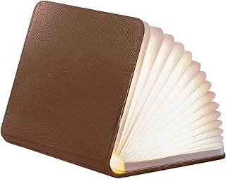 Gingko LED Smart Book Desk Light with Natural Leather Finish