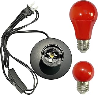 Darkroom Safelights Portable Red LED Desk Lamp with Switch