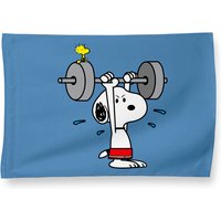 Snoopy Working Out House Flag