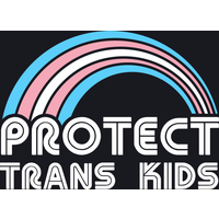 Protect Trans Kids Baseball T-Shirt for Men
