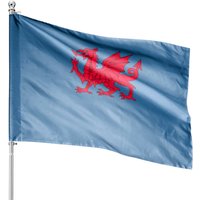 Drapeau du Dragon du Pays de Galles - Drapeau Cool Welsh Cymru Recto-Verso — Drapeaux décoratifs