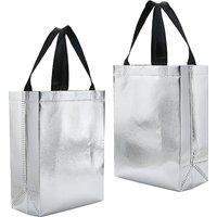 Paquet de 12 sacs à cadeaux petits en argent irisé avec poignées