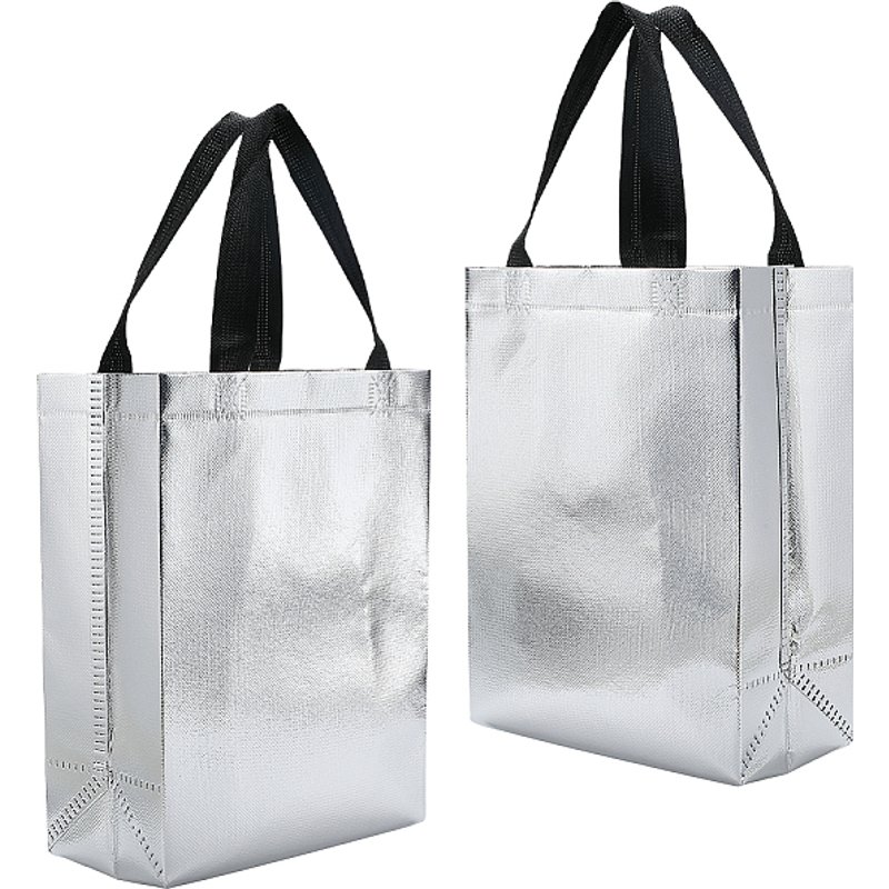 Paquet de 12 sacs à cadeaux petits en argent irisé avec poignées — Rangement et présentation