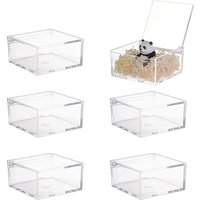 Transparent Acrylic Packaging Box with Flip Lid, Square, Clear