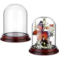 Olycraft 2Pcs Cloche Bell Jar avec Base en Bois de Santal