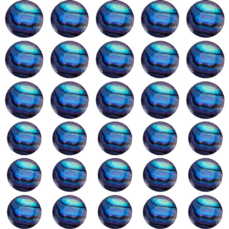 30Pcs Cabochons en Coquille Paua Naturelle pour Création de Bijoux — Pierres précieuses en vrac