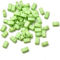 2-Hole Baking Paint Glass Seed Beads, Rectangle, Green