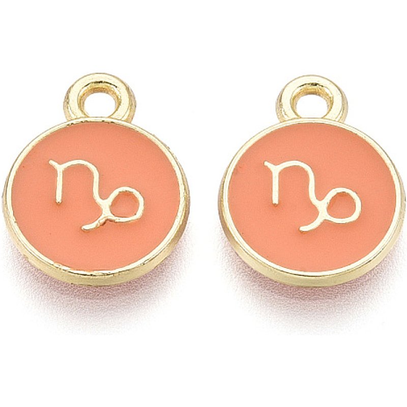 Charm en alliage et émail, rond plat, douze constellations, Capricorne — Breloques et pendentifs